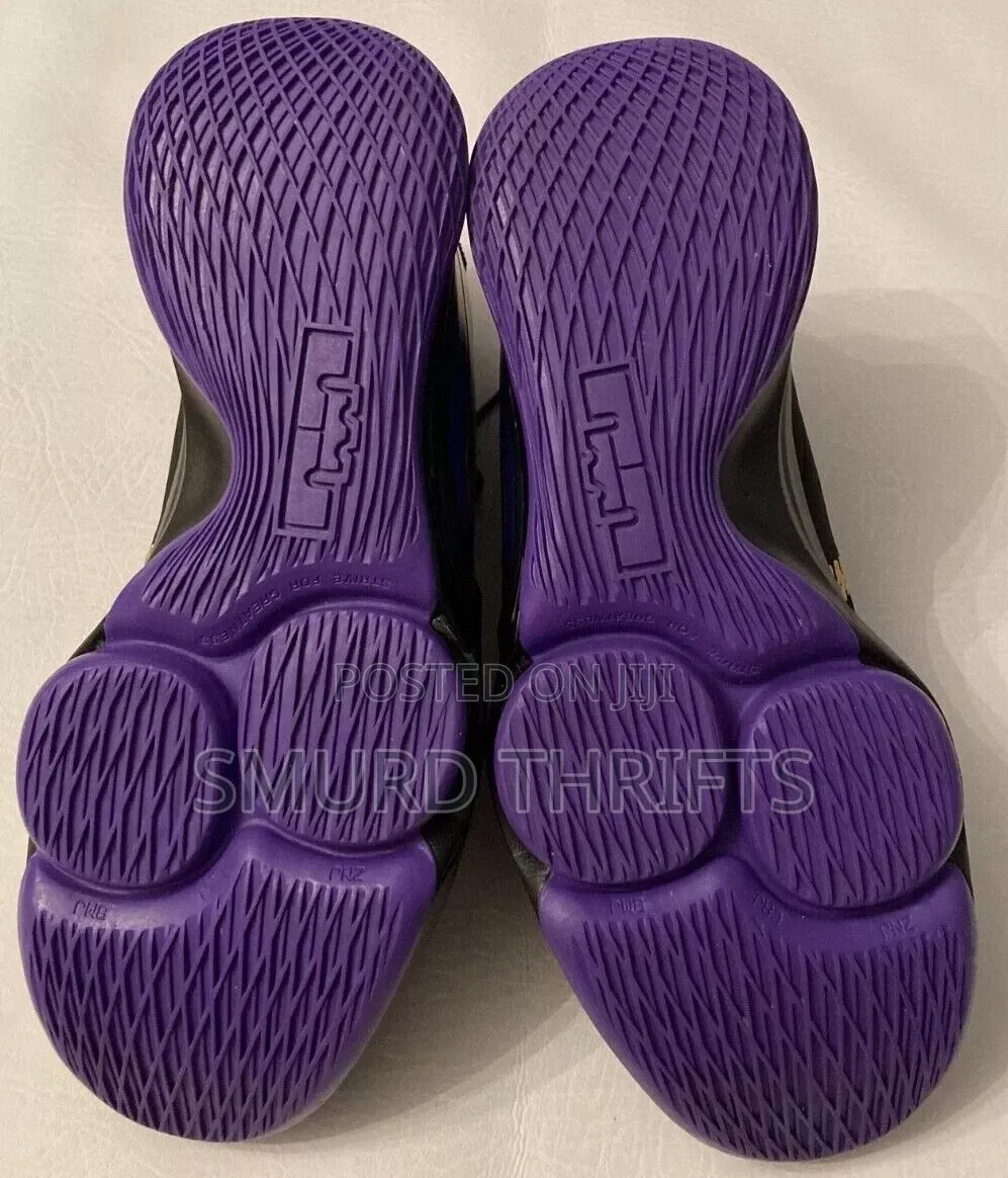 Nike Lebron Witness 5