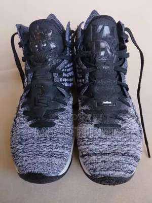 Nike Lebron 17