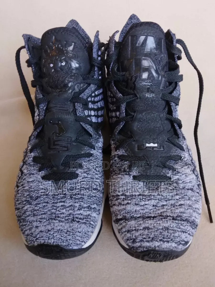 Nike Lebron 17