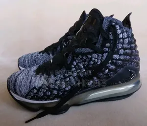 Nike Lebron 17