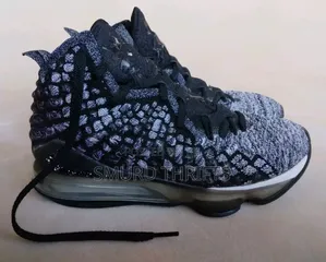 Nike Lebron 17