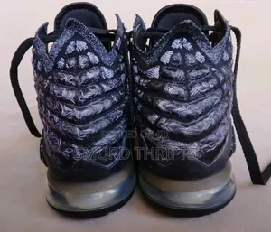 Nike Lebron 17