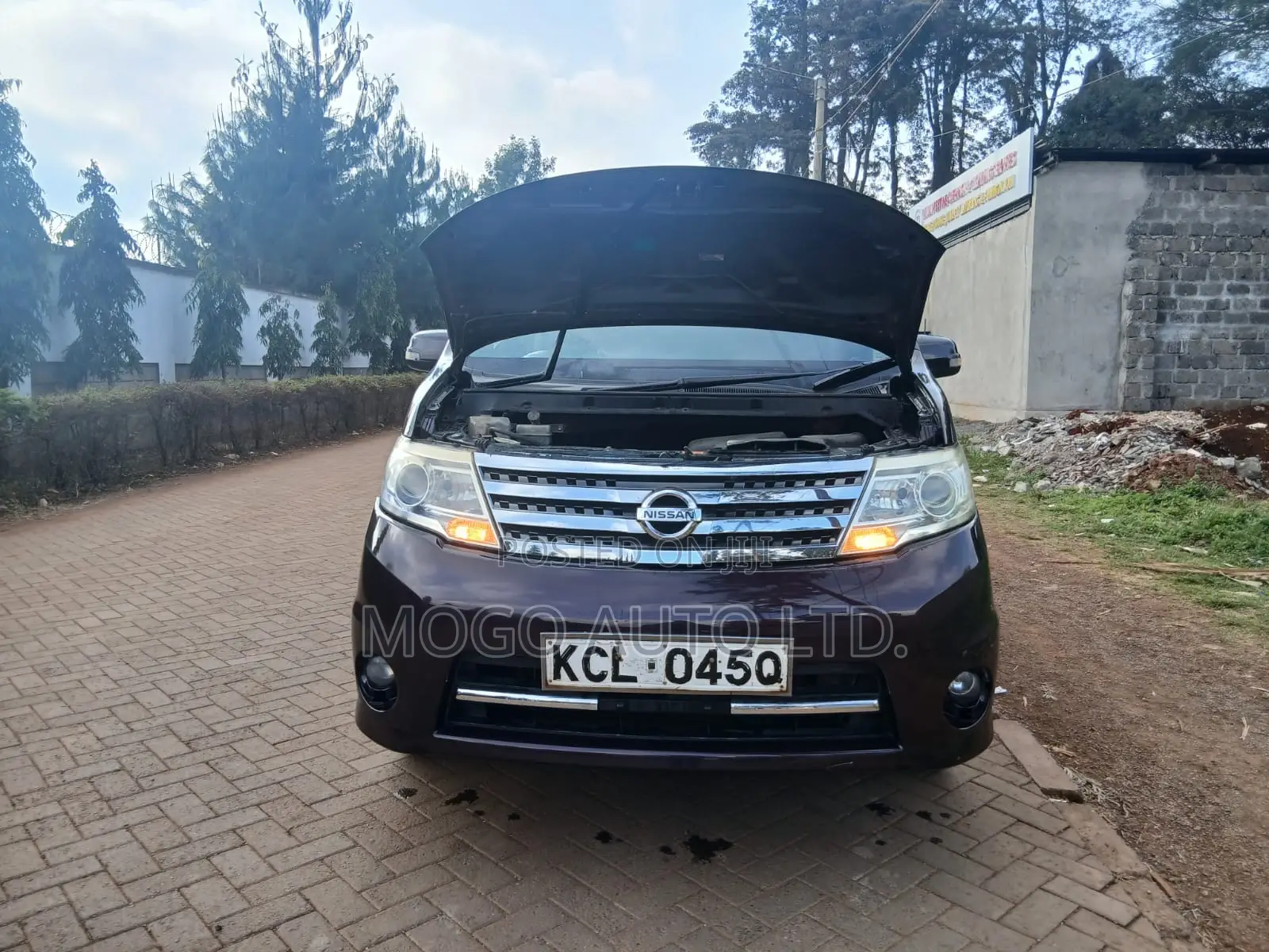 Nissan Serena 2010 Red