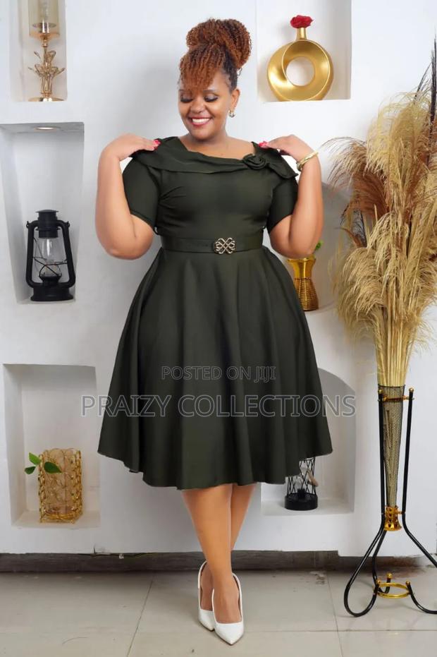 Royal Grace Fit Flare Dress - thumbnail 5