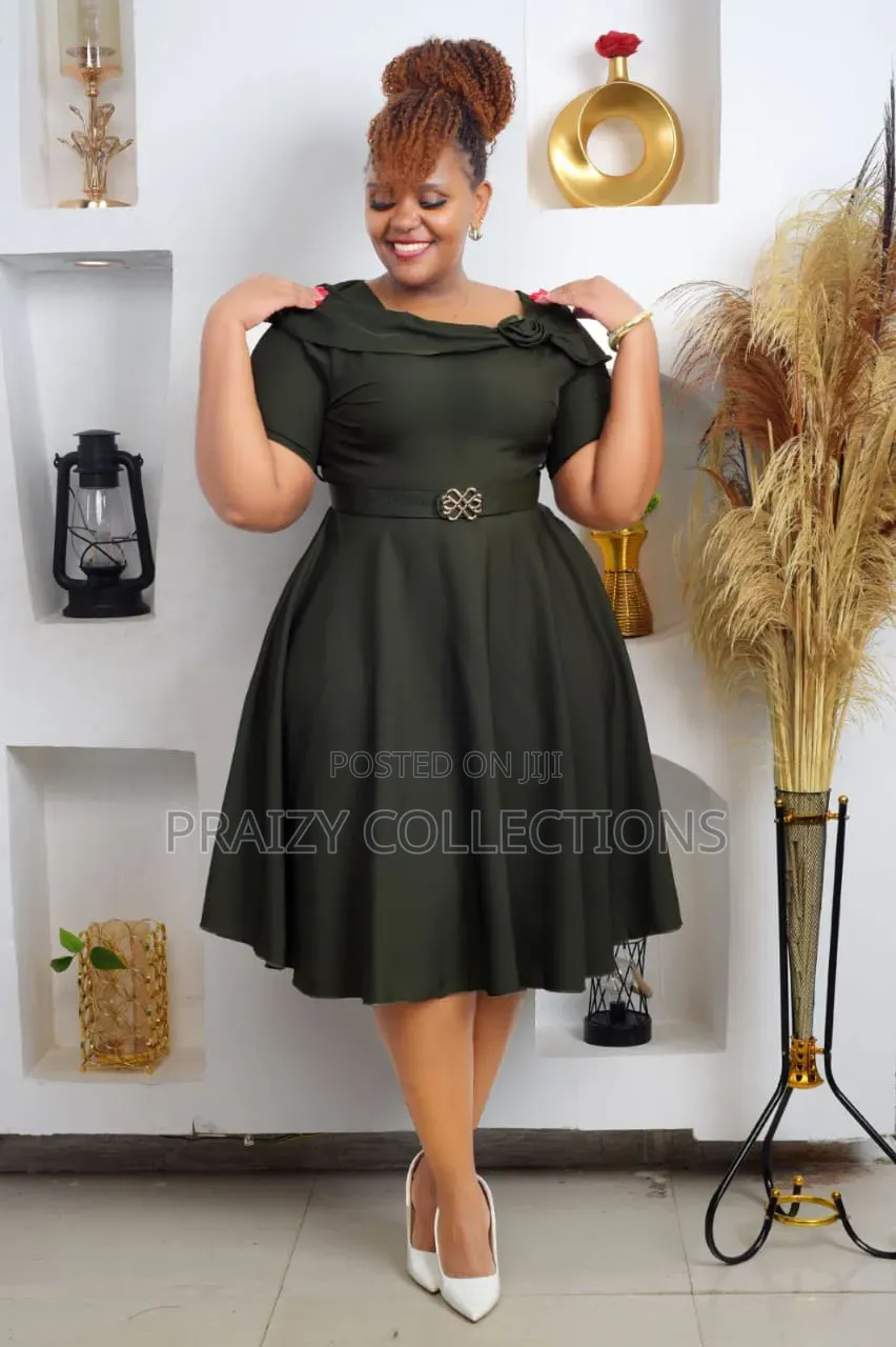 Royal Grace Fit Flare Dress