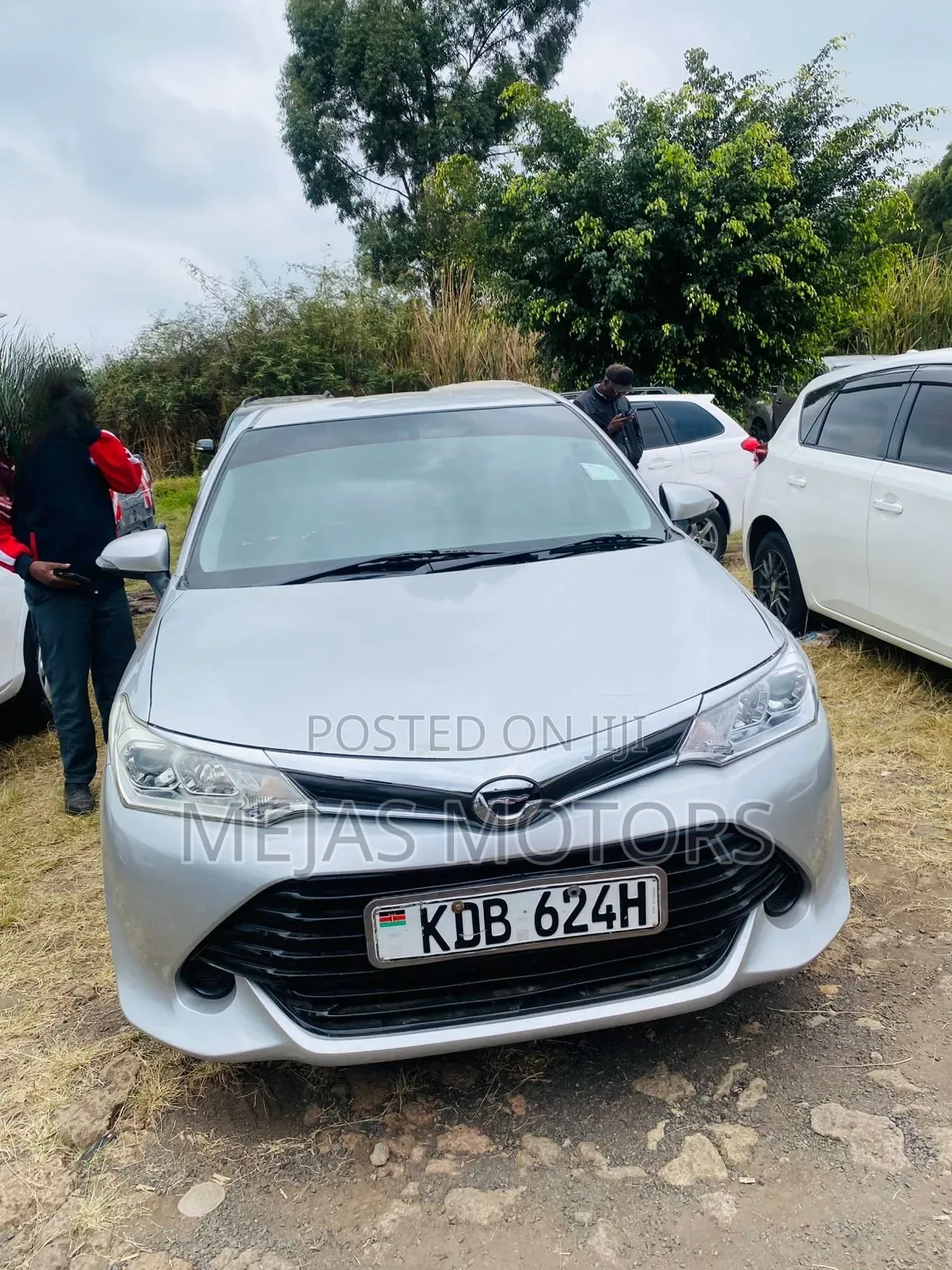Toyota Axio 2013 Silver
