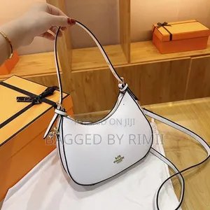 Coach Moon Bag
