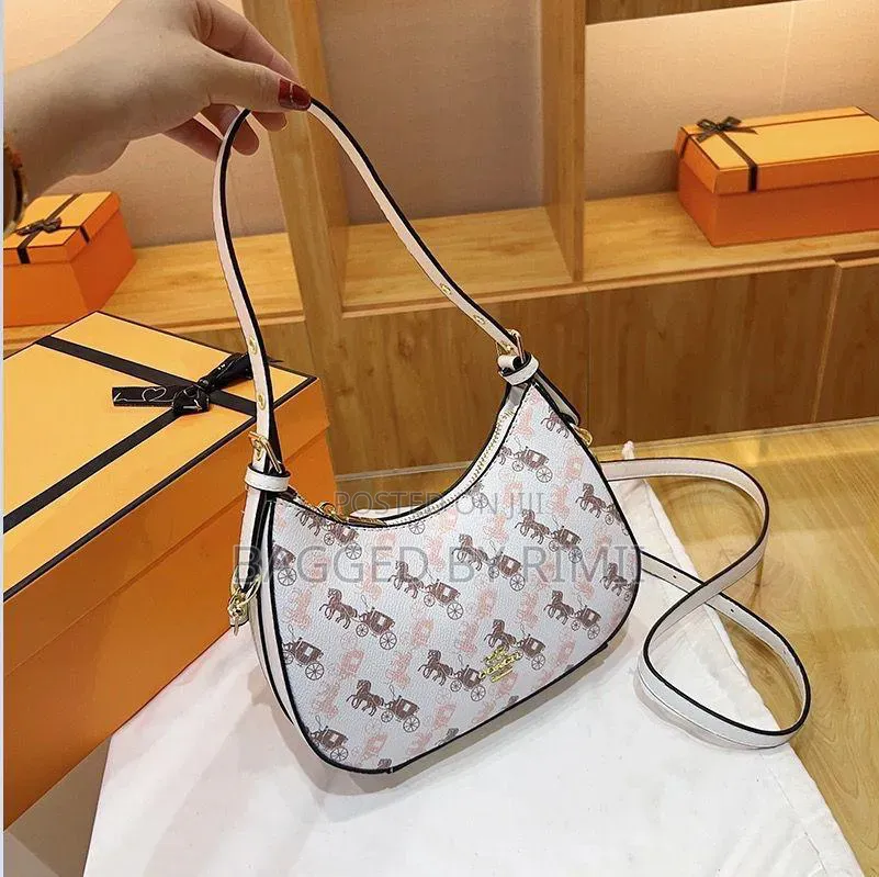 Coach Moon Bag