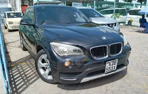 BMW X1 2014 Blue