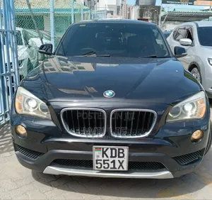 BMW X1 2014 Blue