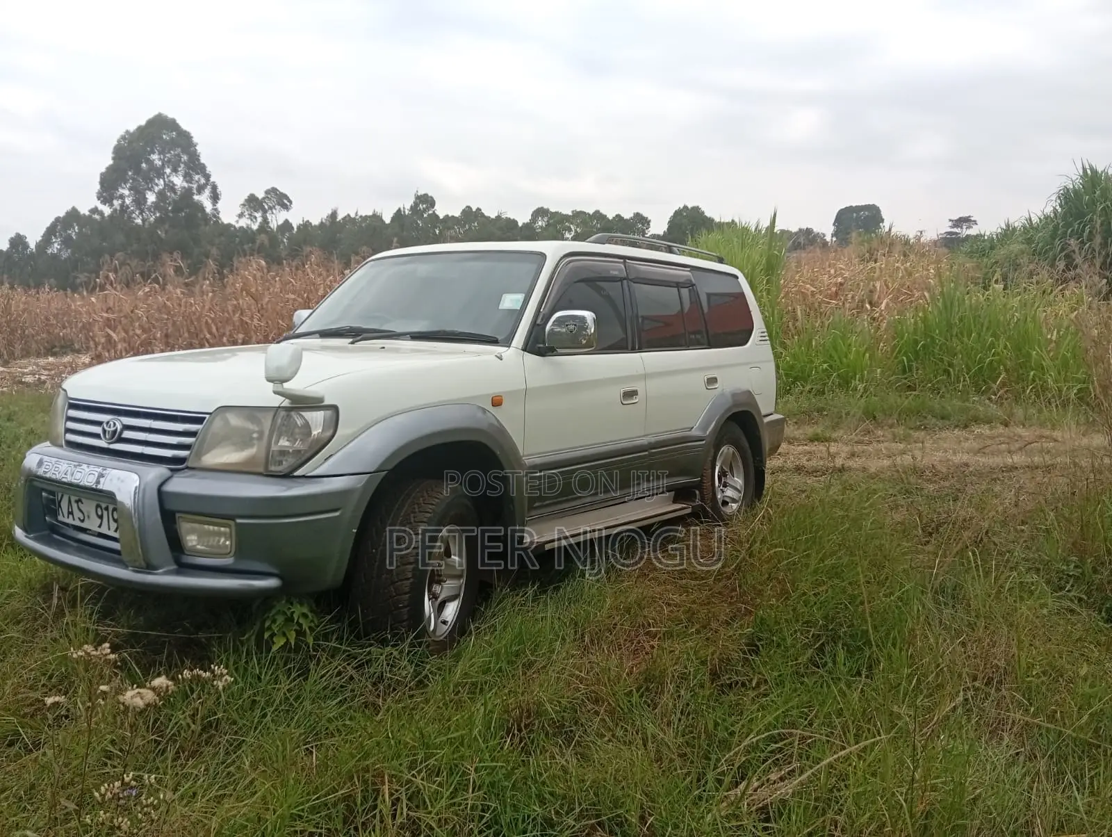 Toyota Land Cruiser Prado 2002 White