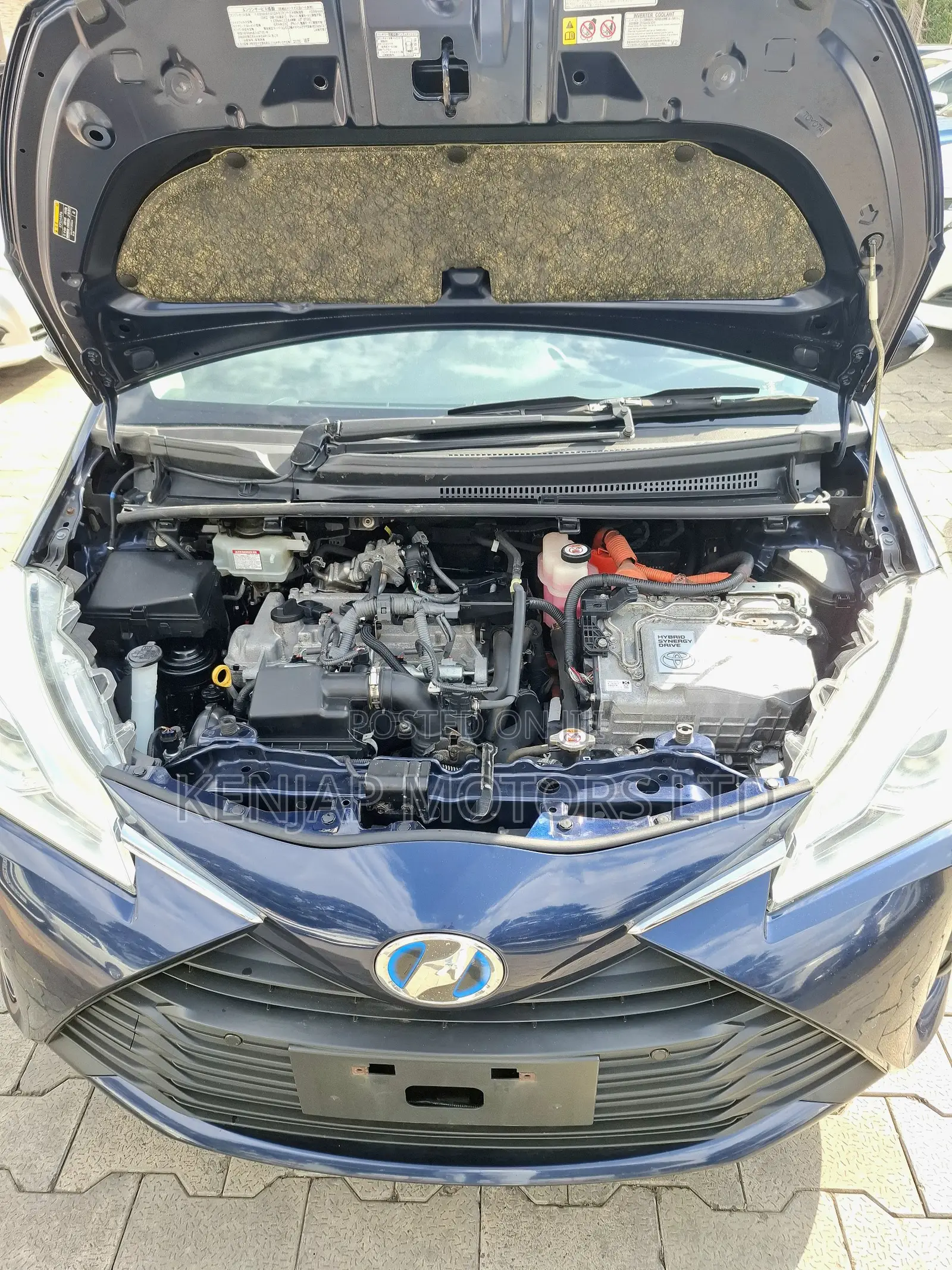 Toyota Vitz 2019 Blue