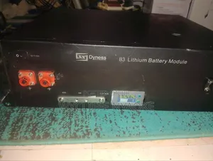 Dyness Lithium Phosphate Battery