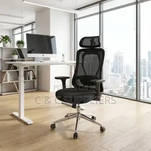 Modern Orthopedic Chair With Lumber Support