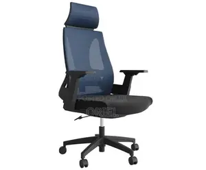 Office Chair : Breathable Mesh Backrest Orthopedic Office Chair