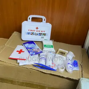 75-Piece Safety First Aid Kit – Professional Emergency Medical Supplie