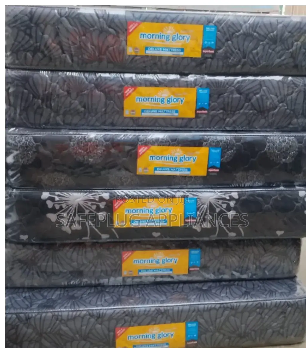 5x6 10-Inch Quilted Morning Glory Superfoam Mattress