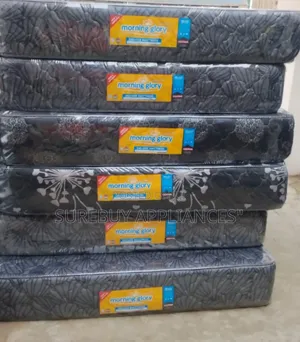 5x6 10-Inch Quilted Morning Glory Superfoam Mattress