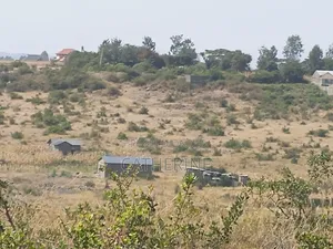 Juja Farm Mwireri