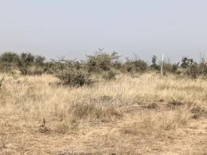 Juja Farm Mwireri