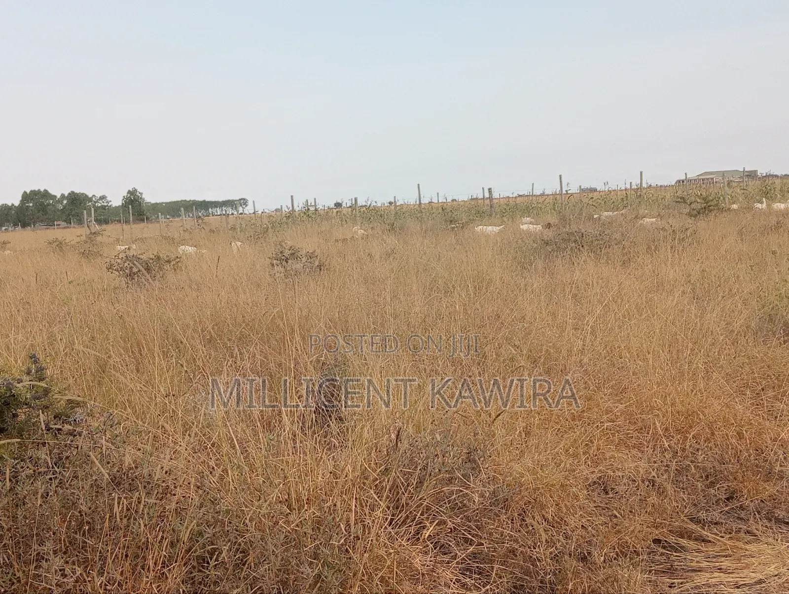 Land for Sale in Kitengela