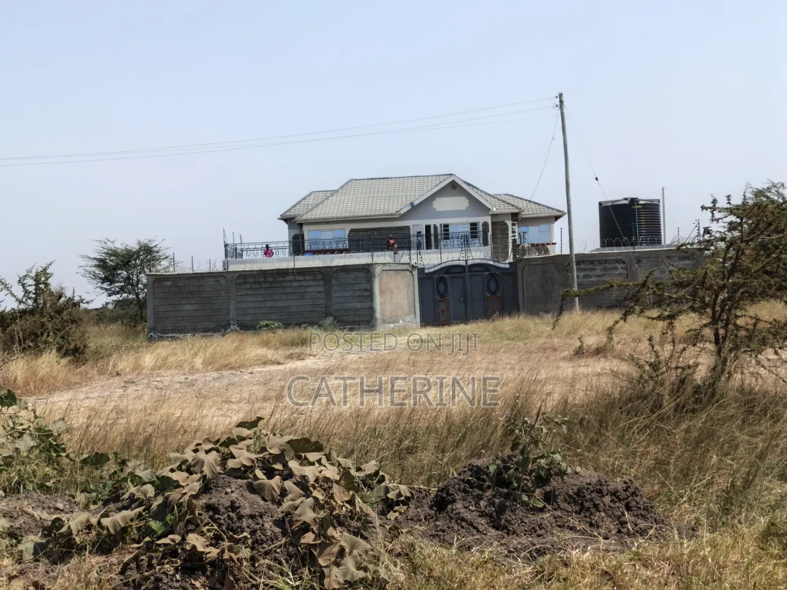 Juja Farm Mwireri