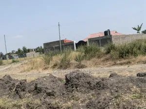 Juja Farm Mwireri