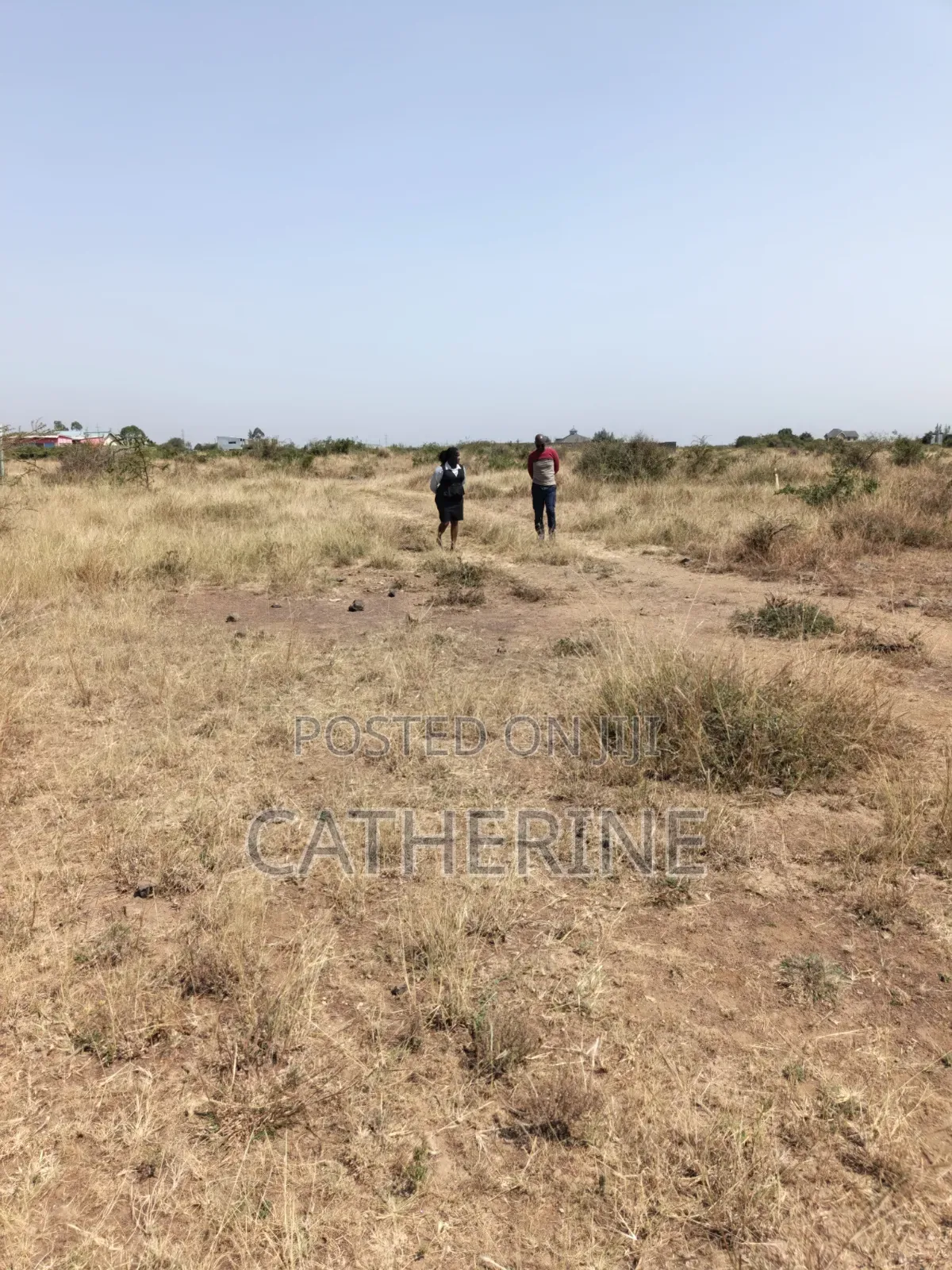 Juja Farm Mwireri