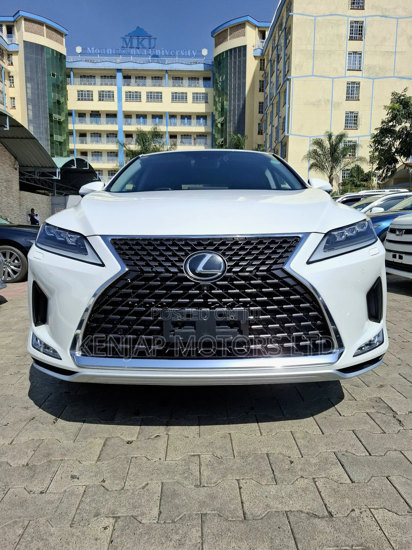 Lexus RX 300 2WD 2020 Pearl