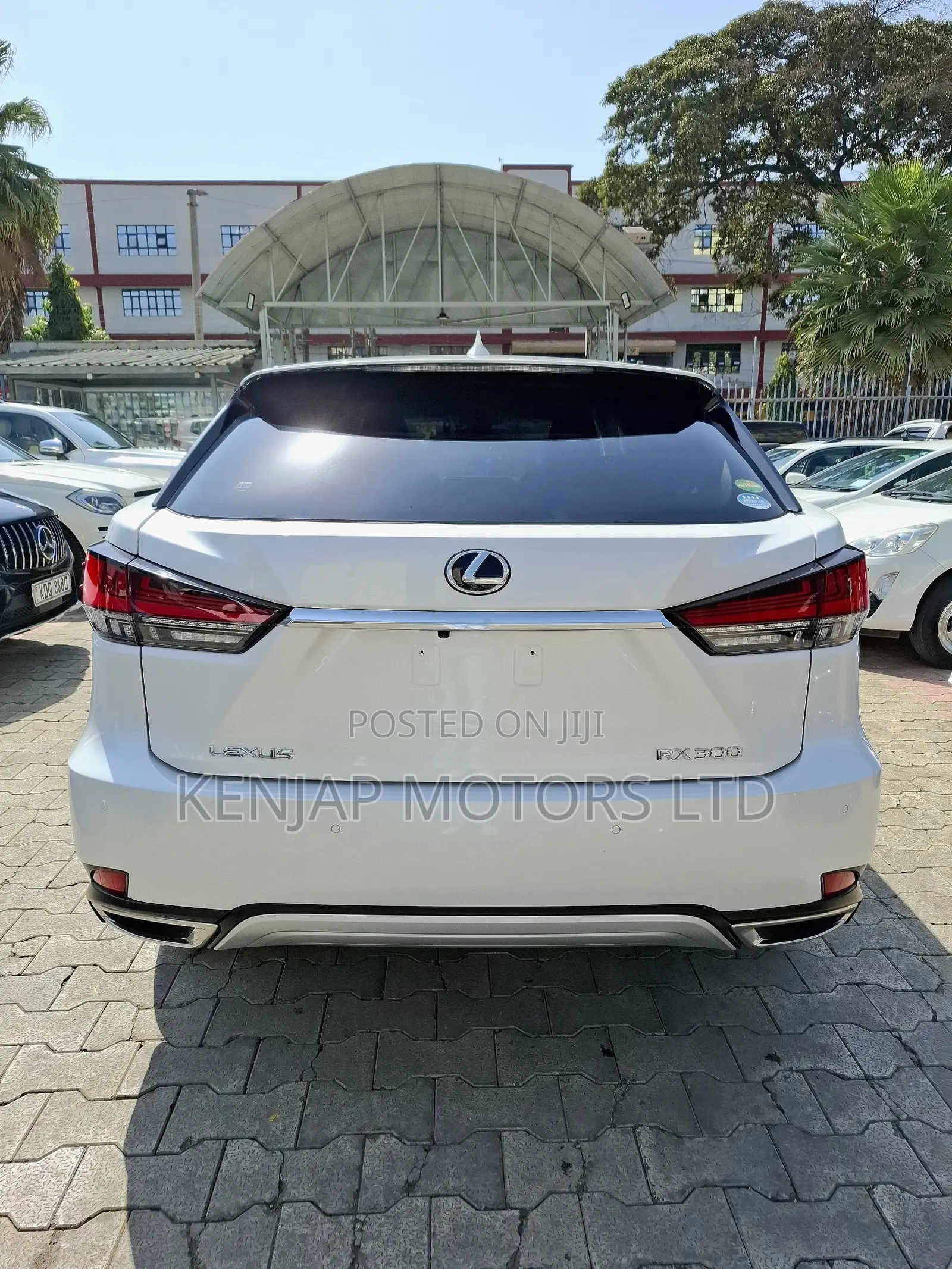 Lexus RX 300 2WD 2020 Pearl