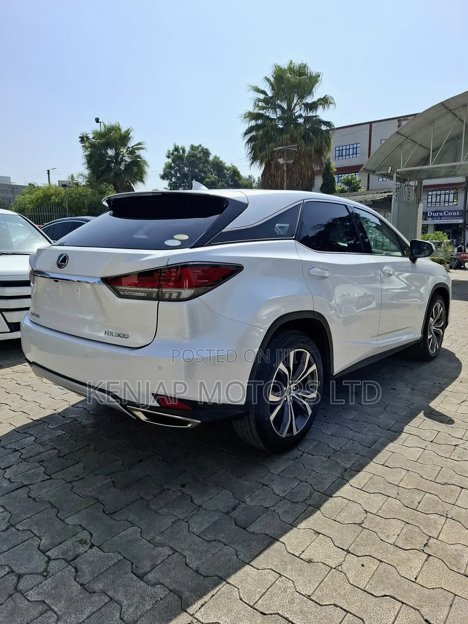 Lexus RX 300 2WD 2020 Pearl