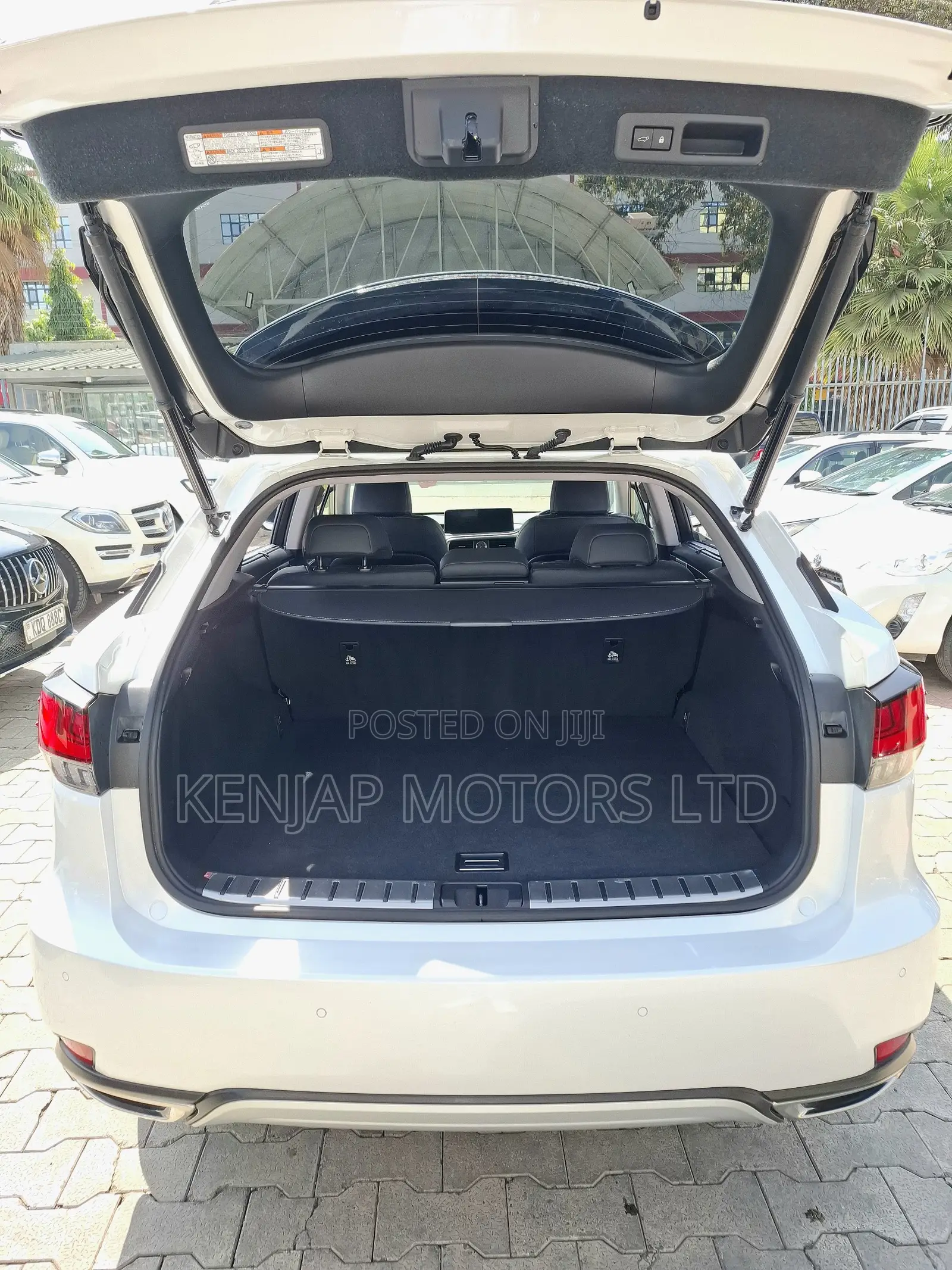 Lexus RX 300 2WD 2020 Pearl
