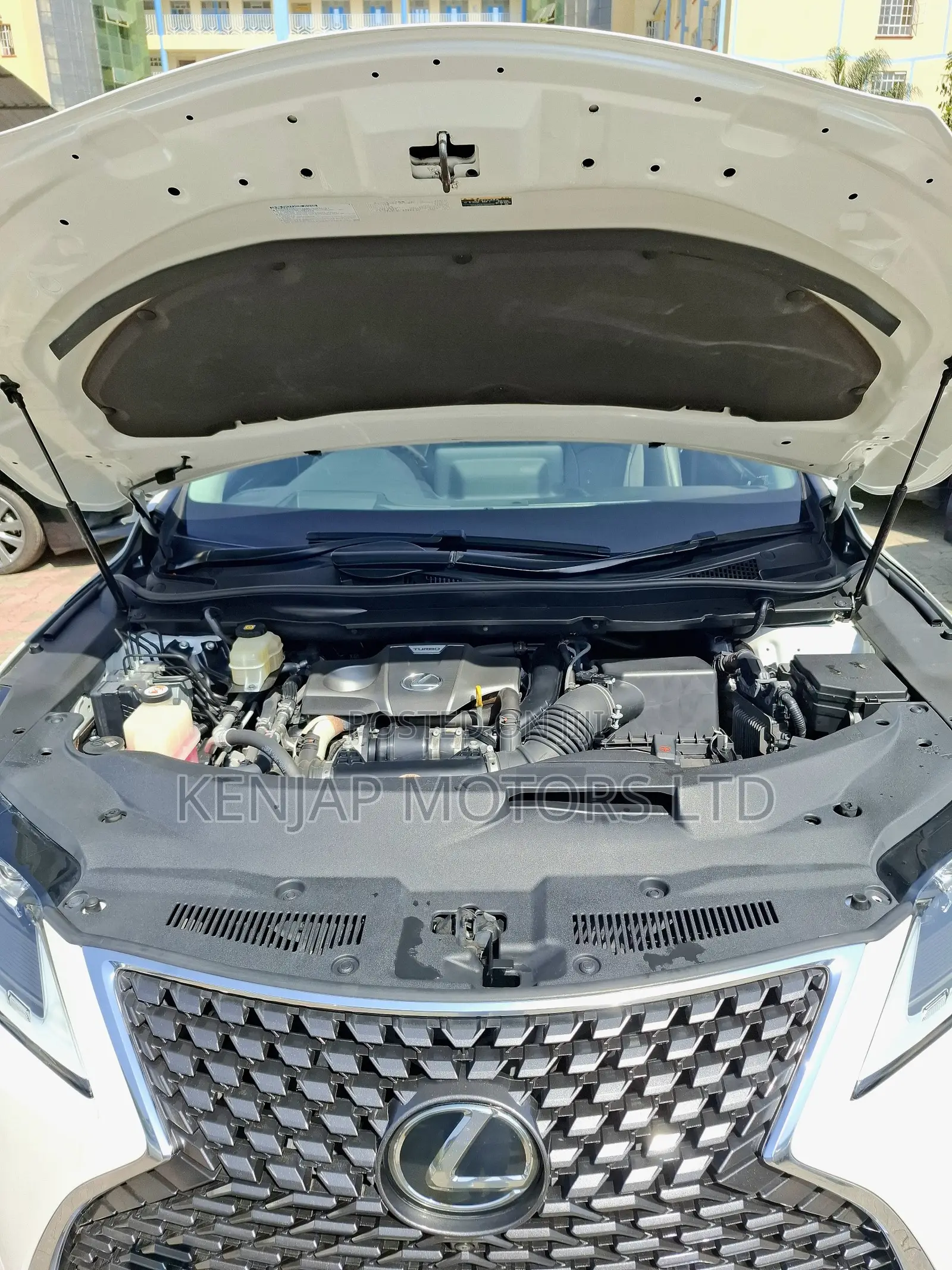 Lexus RX 300 2WD 2020 Pearl