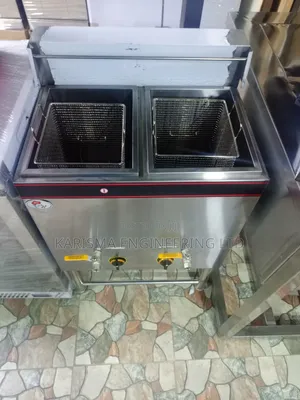 Stainless Steel Double Tank Gas Fryer