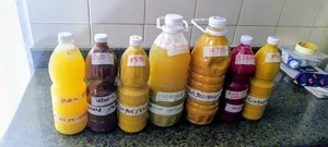 Pineapple Cocktails