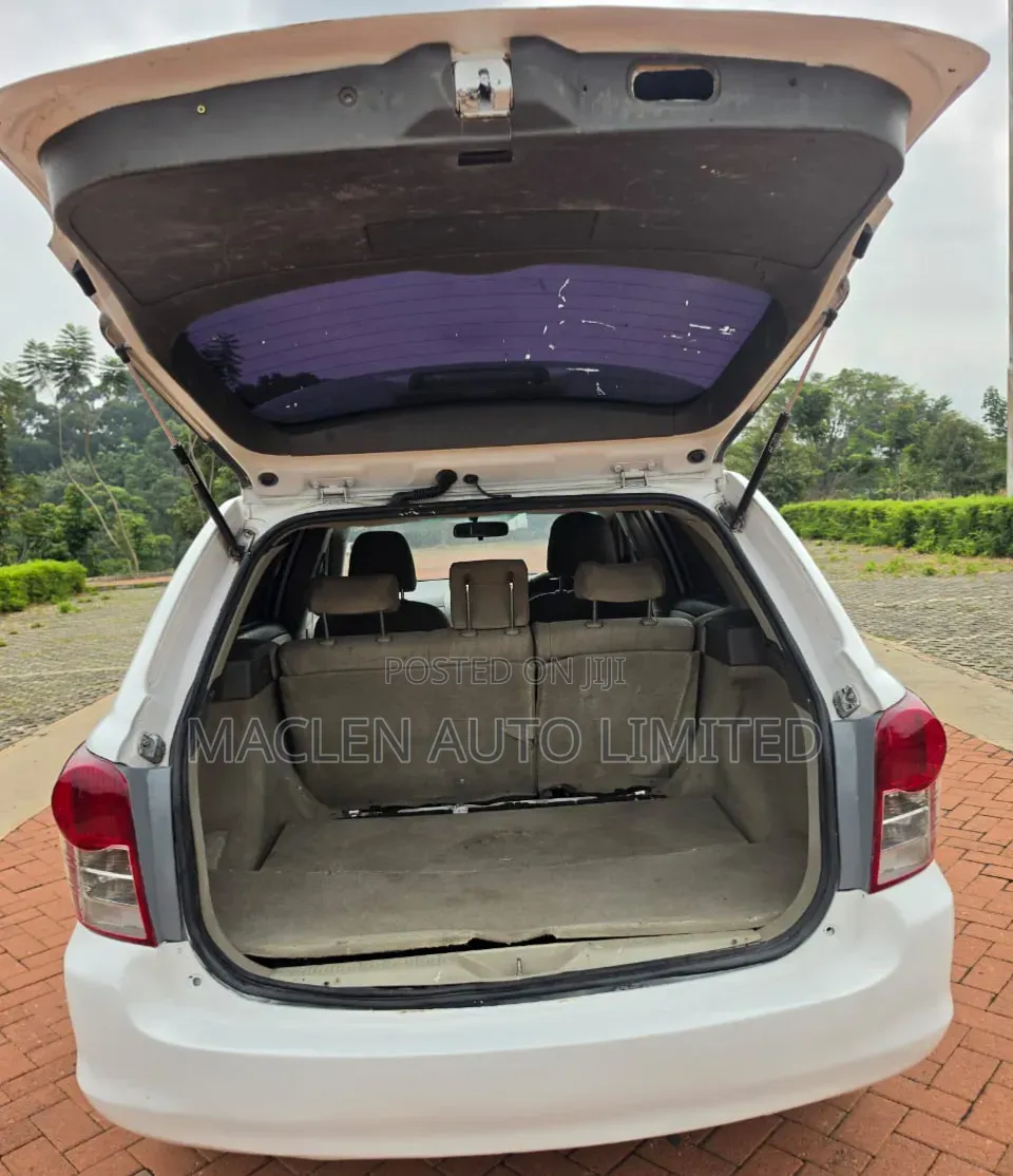 Toyota Corolla Fielder 2008 White