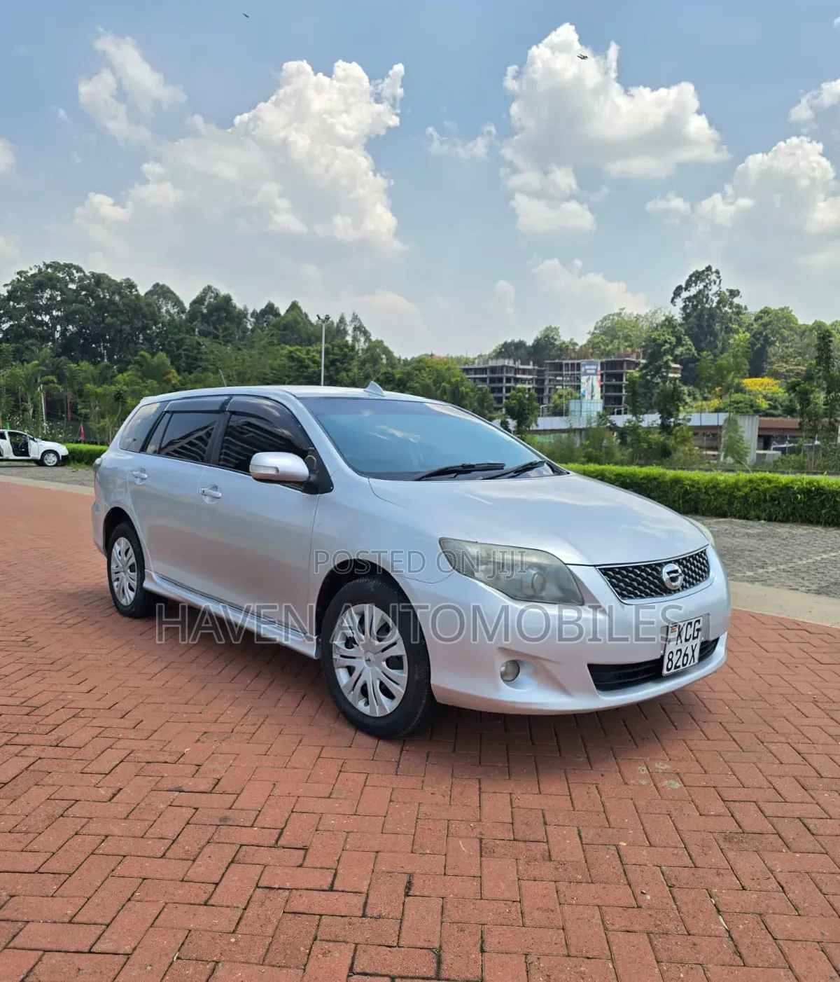 Toyota Corolla Fielder 2010 Silver