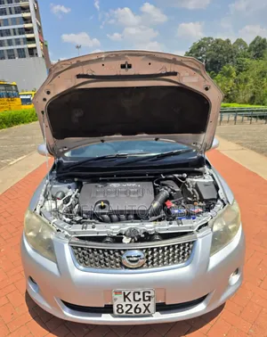 Toyota Corolla Fielder 2010 Silver