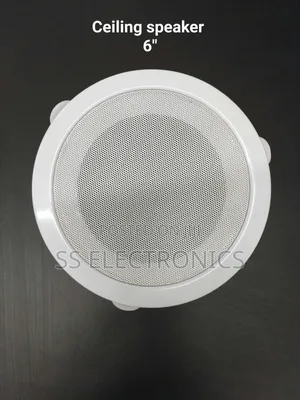 Celling Speaker 6"