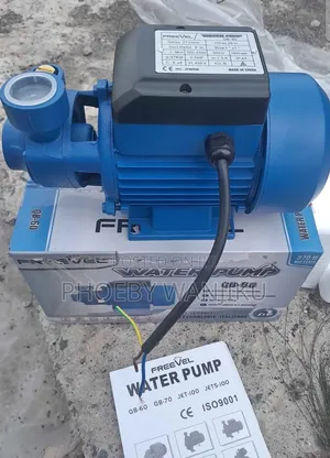 0.5hp Electric Booster Water Pump/Freevel Water Pump