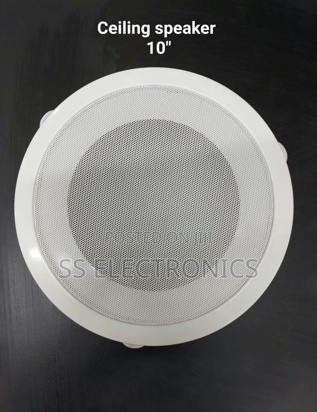 Celling Speaker 10"