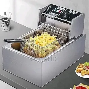 Electric Fryer