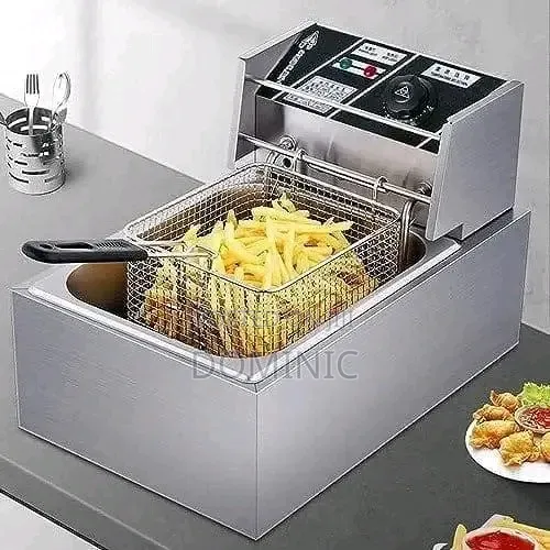 Electric Fryer