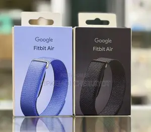 Google Fitbit Air