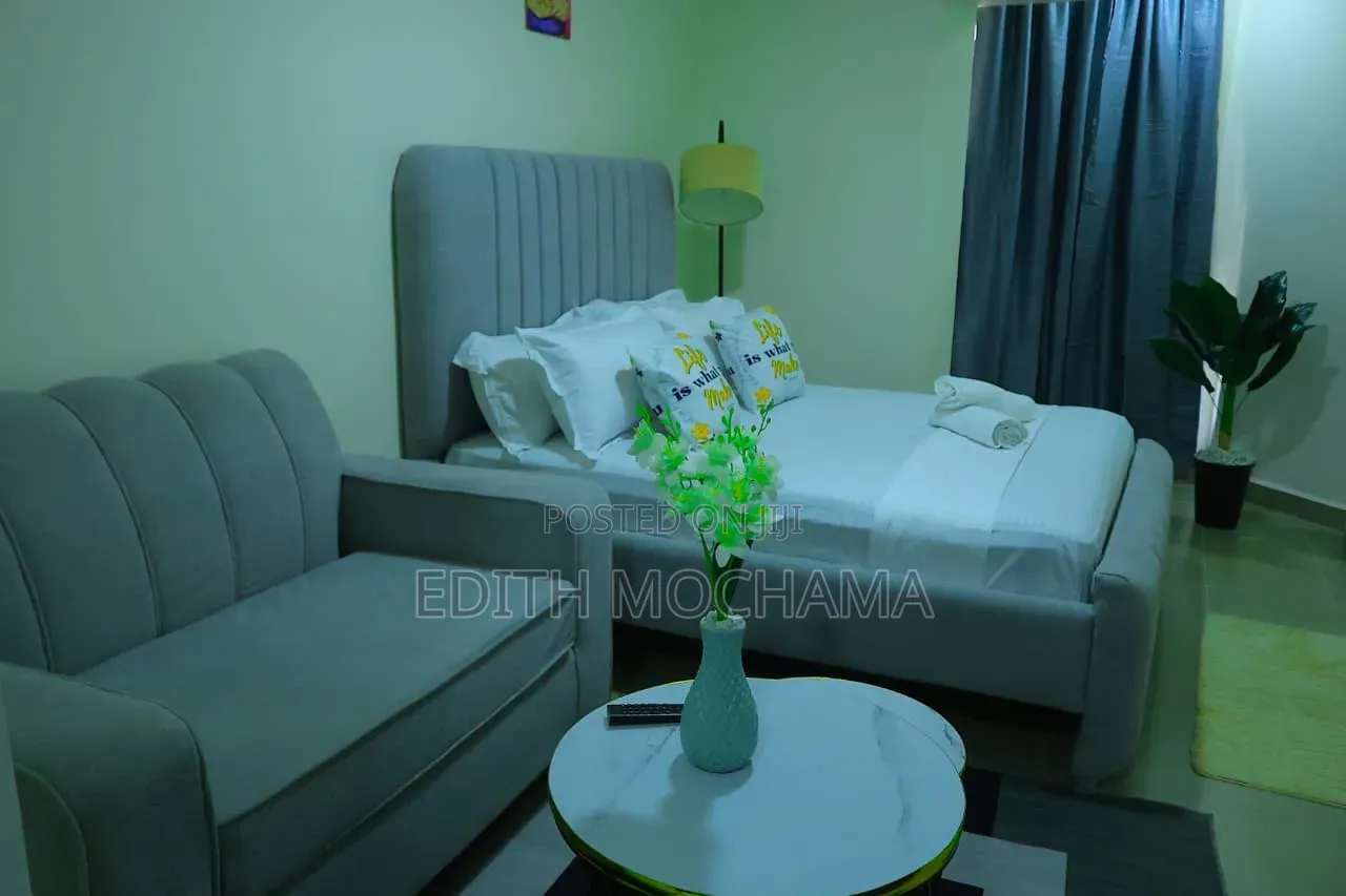 Furnished Studio Apartment in Balozi, South B for rent