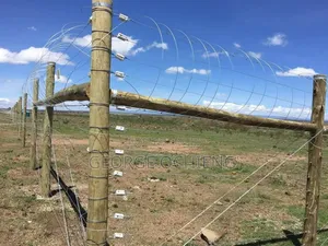 CCTV Surveillances and Electric Fence Installation at Affordable Price