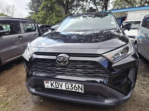 Toyota RAV4 2019 Black
