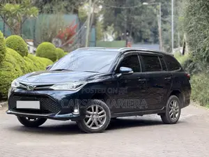 Toyota Corolla Fielder 2019 Blue