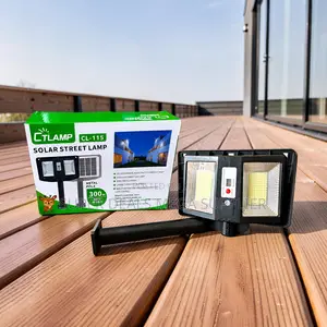 300w Double Sided Led High Performance Solar Street Light