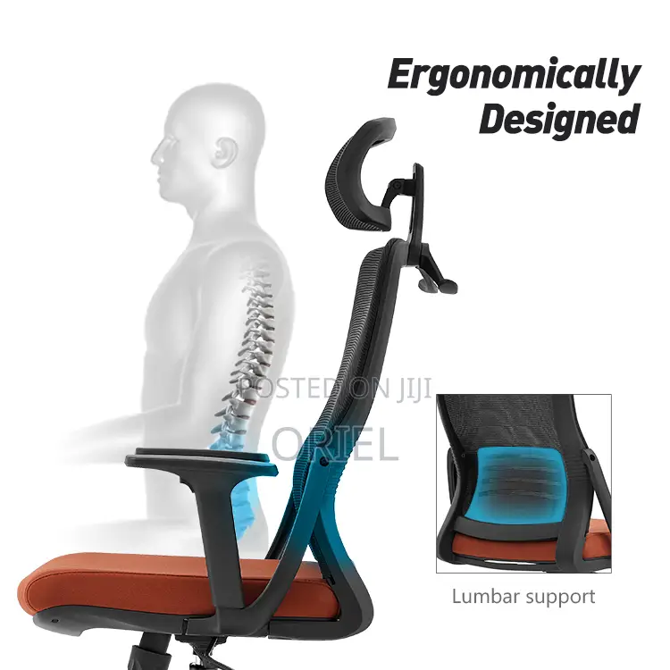 Office Chair : Modern Office Ergonomic Chair